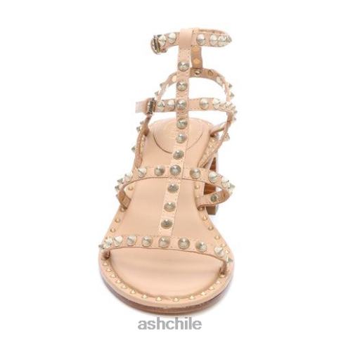 sandalias jen con tacón cuadrado y tachuelas mujer piel R0R6238 ASH sandalias