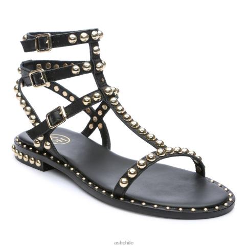 play sandalias planas con tachuelas mujer oro negro R0R6255 ASH sandalias