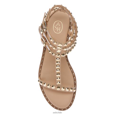 play sandalias planas con tachuelas mujer piel/oro R0R6256 ASH sandalias