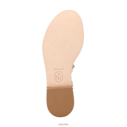 sandalia gladiador paloma mujer luz de oro R0R6281 ASH sandalias