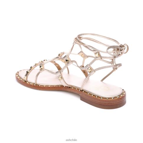 sandalia gladiador paloma mujer luz de oro R0R6281 ASH sandalias