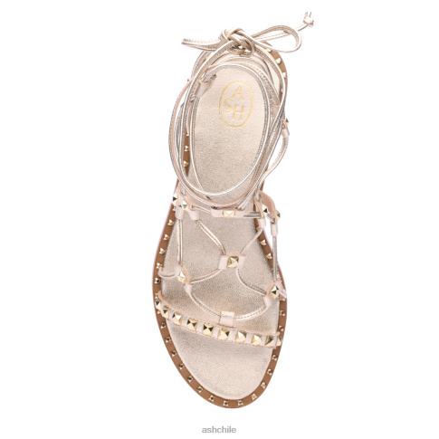sandalia gladiador paloma mujer luz de oro R0R6281 ASH sandalias