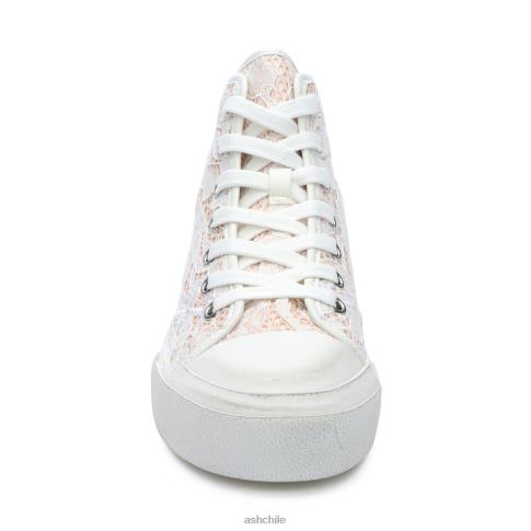 zapatillas altas con plataforma de encaje mujer rosasal R0R6226 ASH zapatillas